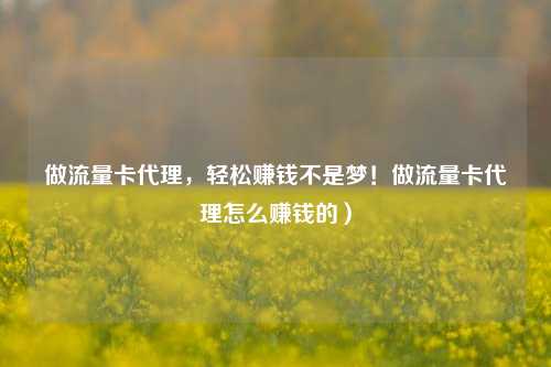 做流量卡代理，轻松赚钱不是梦！做流量卡代理怎么赚钱的）