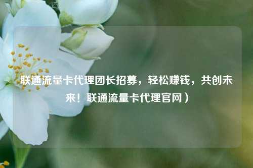 联通流量卡代理团长招募，轻松赚钱，共创未来！联通流量卡代理官网）