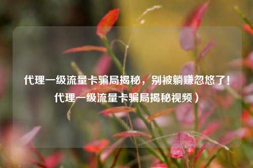 代理一级流量卡骗局揭秘，别被躺赚忽悠了！代理一级流量卡骗局揭秘视频）