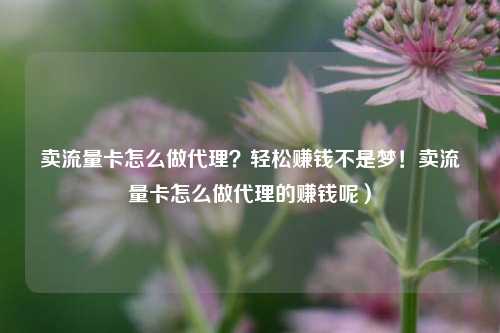 卖流量卡怎么做代理？轻松赚钱不是梦！卖流量卡怎么做代理的赚钱呢）