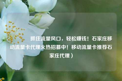 🚀抓住流量风口，轻松赚钱！石家庄移动流量卡代理火热招募中！移动流量卡推荐石家庄代理）