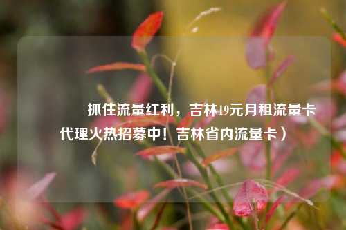 🚀抓住流量红利，吉林19元月租流量卡代理火热招募中！吉林省内流量卡）