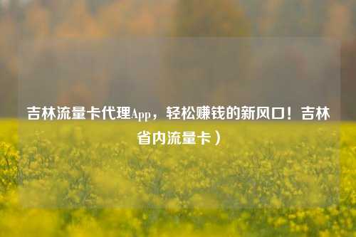 吉林流量卡代理App，轻松赚钱的新风口！吉林省内流量卡）