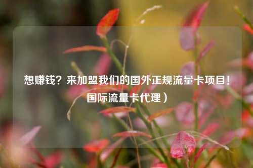 想赚钱？来加盟我们的国外正规流量卡项目！国际流量卡代理）
