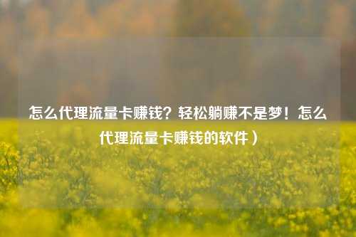 怎么代理流量卡赚钱？轻松躺赚不是梦！怎么代理流量卡赚钱的软件）