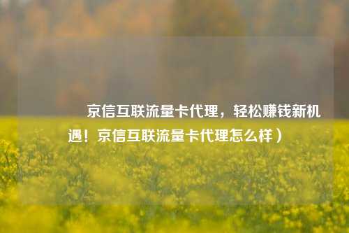 🚀京信互联流量卡代理，轻松赚钱新机遇！京信互联流量卡代理怎么样）