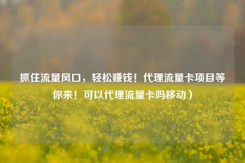 抓住流量风口，轻松赚钱！代理流量卡项目等你来！可以代理流量卡吗移动）
