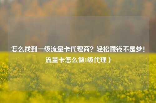 怎么找到一级流量卡代理商？轻松赚钱不是梦！流量卡怎么做1级代理）