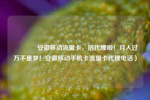 🚀安徽移动流量卡，招代理啦！月入过万不是梦！安徽移动手机卡流量卡代理电话）