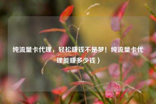 纯流量卡代理，轻松赚钱不是梦！纯流量卡代理能赚多少钱）