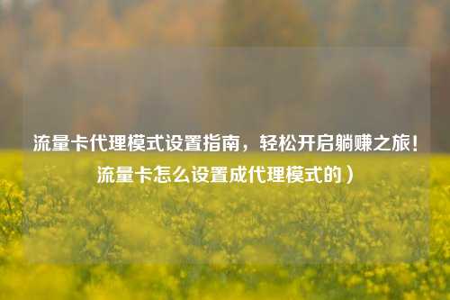 流量卡代理模式设置指南，轻松开启躺赚之旅！流量卡怎么设置成代理模式的）