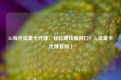5G海外流量卡代理，轻松赚钱新风口！5g流量卡代理官网）