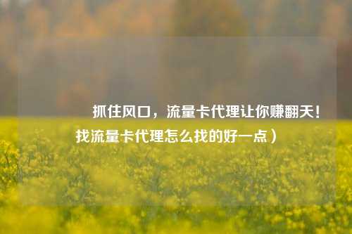 🚀抓住风口，流量卡代理让你赚翻天！找流量卡代理怎么找的好一点）