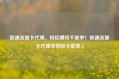 联通流量卡代理，轻松赚钱不是梦！联通流量卡代理非物联卡套餐）