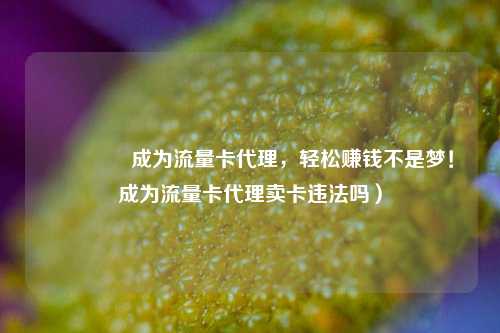 🚀成为流量卡代理，轻松赚钱不是梦！成为流量卡代理卖卡违法吗）