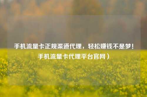 手机流量卡正规渠道代理，轻松赚钱不是梦！手机流量卡代理平台官网）