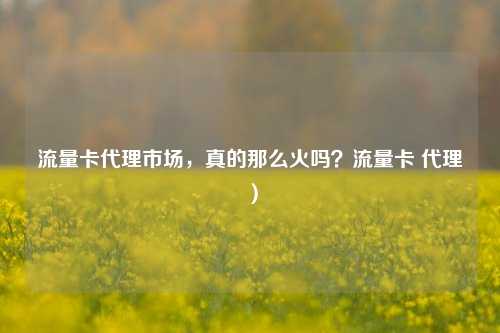 流量卡代理市场，真的那么火吗？流量卡 代理）