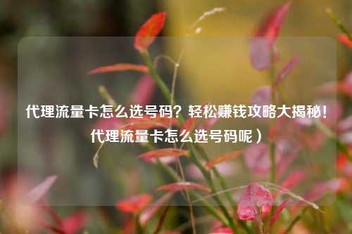 代理流量卡怎么选号码？轻松赚钱攻略大揭秘！代理流量卡怎么选号码呢）