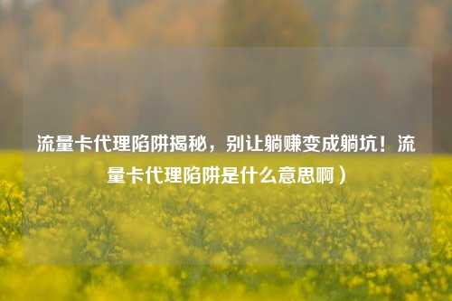 流量卡代理陷阱揭秘，别让躺赚变成躺坑！流量卡代理陷阱是什么意思啊）