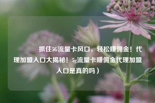 🚀抓住5G流量卡风口，轻松赚佣金！代理加盟入口大揭秘！5g流量卡赚佣金代理加盟入口是真的吗）
