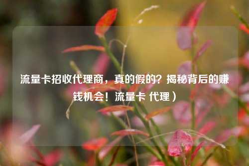 流量卡招收代理商，真的假的？揭秘背后的赚钱机会！流量卡 代理）