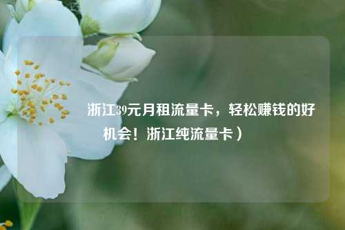 🚀浙江39元月租流量卡，轻松赚钱的好机会！浙江纯流量卡）