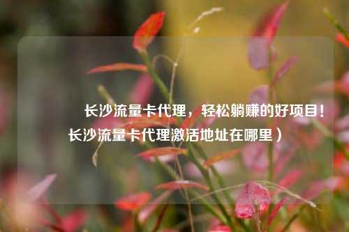 🚀长沙流量卡代理，轻松躺赚的好项目！长沙流量卡代理激活地址在哪里）