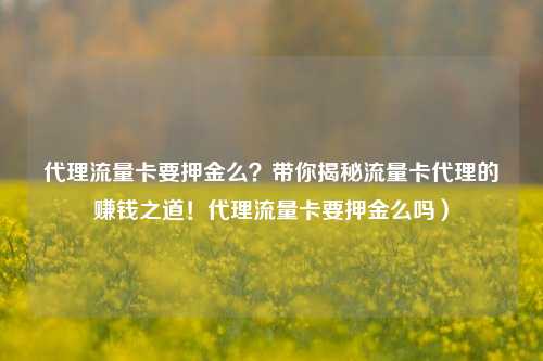 代理流量卡要押金么？带你揭秘流量卡代理的赚钱之道！代理流量卡要押金么吗）