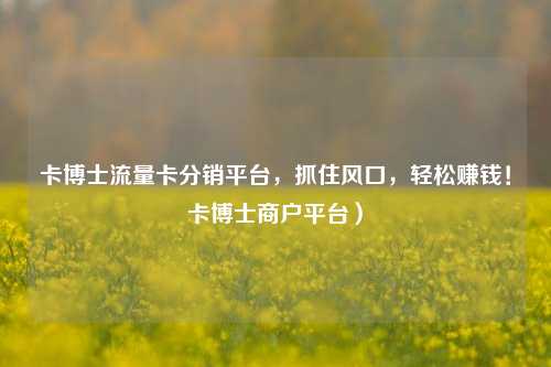 卡博士流量卡分销平台，抓住风口，轻松赚钱！卡博士商户平台）