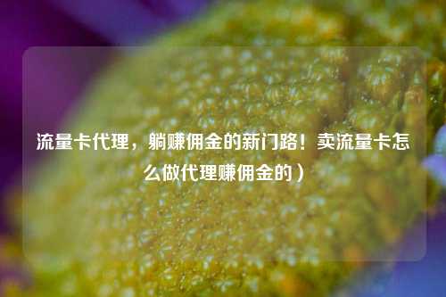 流量卡代理，躺赚佣金的新门路！卖流量卡怎么做代理赚佣金的）
