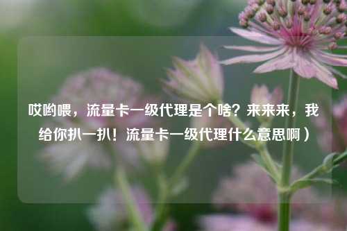 哎哟喂，流量卡一级代理是个啥？来来来，我给你扒一扒！流量卡一级代理什么意思啊）
