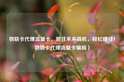 物联卡代理流量卡，抓住未来商机，轻松赚钱！物联卡代理流量卡骗局）