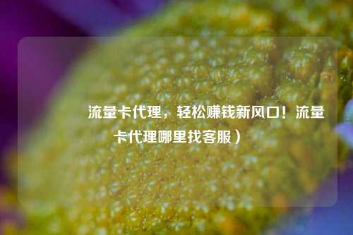 🚀流量卡代理，轻松赚钱新风口！流量卡代理哪里找客服）