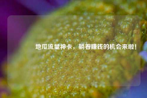 🌟地瓜流量神卡，躺着赚钱的机会来啦！