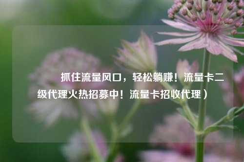 🚀抓住流量风口，轻松躺赚！流量卡二级代理火热招募中！流量卡招收代理）