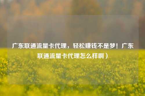 广东联通流量卡代理，轻松赚钱不是梦！广东联通流量卡代理怎么样啊）