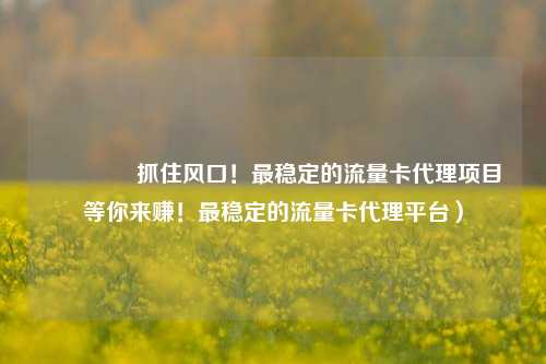 🚀抓住风口！最稳定的流量卡代理项目等你来赚！最稳定的流量卡代理平台）