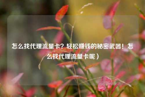 怎么找代理流量卡？轻松赚钱的秘密武器！怎么找代理流量卡呢）