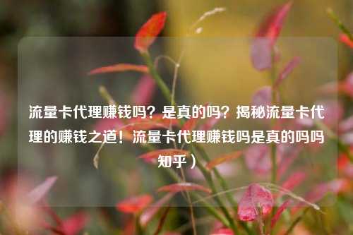 流量卡代理赚钱吗？是真的吗？揭秘流量卡代理的赚钱之道！流量卡代理赚钱吗是真的吗吗知乎）