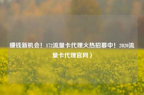 赚钱新机会！172流量卡代理火热招募中！2020流量卡代理官网）