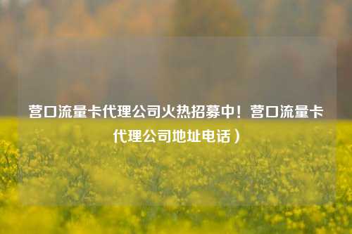 营口流量卡代理公司火热招募中！营口流量卡代理公司地址电话）