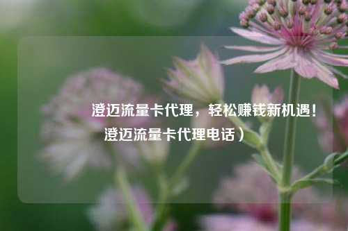 🚀澄迈流量卡代理，轻松赚钱新机遇！澄迈流量卡代理电话）