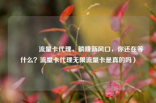 🚀流量卡代理，躺赚新风口，你还在等什么？流量卡代理无限流量卡是真的吗）