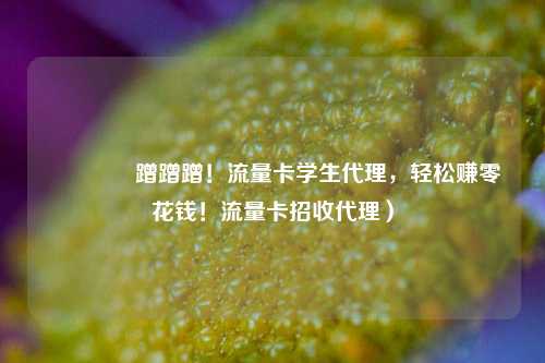 🚀蹭蹭蹭！流量卡学生代理，轻松赚零花钱！流量卡招收代理）