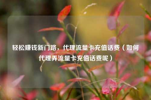 轻松赚钱新门路，代理流量卡充值话费（如何代理弄流量卡充值话费呢）