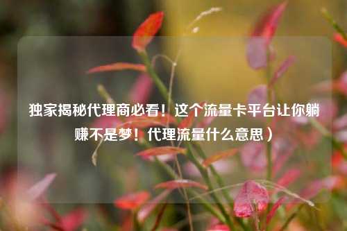 独家揭秘代理商必看！这个流量卡平台让你躺赚不是梦！代理流量什么意思）