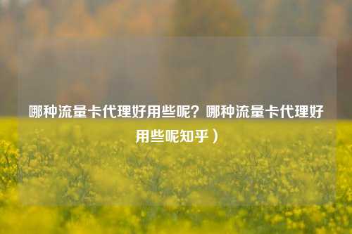 哪种流量卡代理好用些呢？哪种流量卡代理好用些呢知乎）