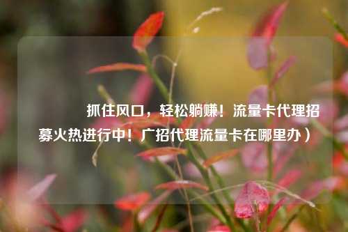 🚀抓住风口，轻松躺赚！流量卡代理招募火热进行中！广招代理流量卡在哪里办）