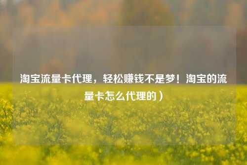 淘宝流量卡代理，轻松赚钱不是梦！淘宝的流量卡怎么代理的）