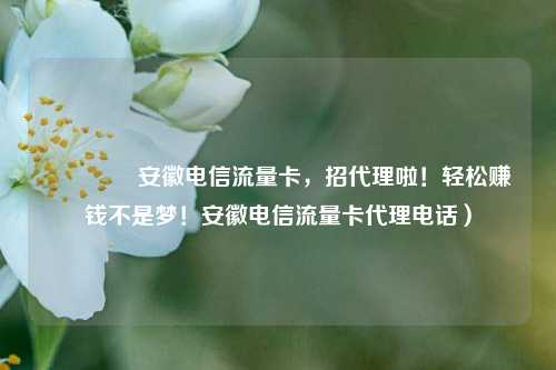 🚀安徽电信流量卡，招代理啦！轻松赚钱不是梦！安徽电信流量卡代理电话）